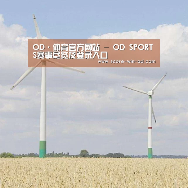 风能
