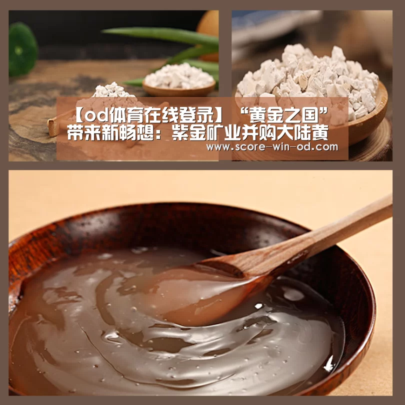 od体育官方网站